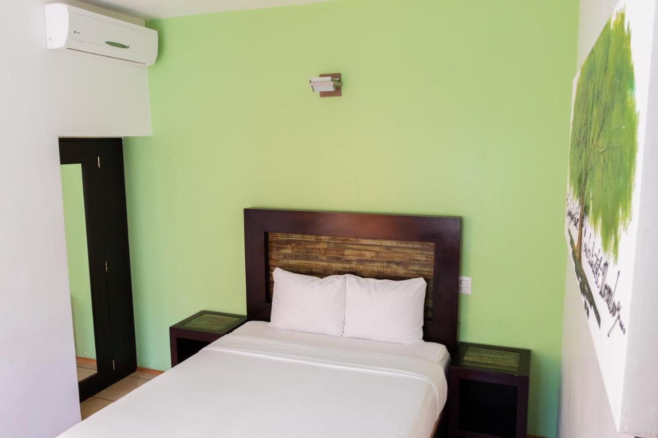 Happy Express Hotel Oaxaca Extérieur photo